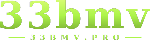 33bmv logo